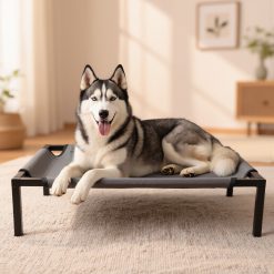 Premium Dog Beds